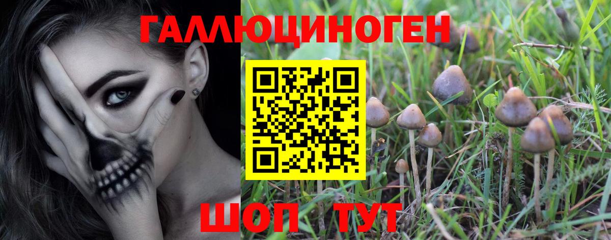 Златоуст  Галлюциногенные грибы прущие грибы  Псилоцибиновые грибы Magic Shrooms  Вход с VPN 